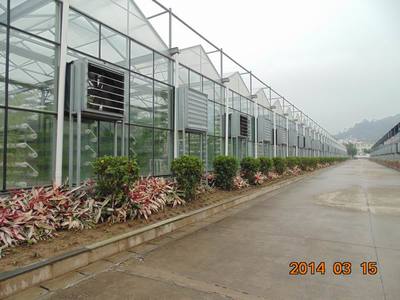 福州福建水稻工廠化機插育秧溫室:想建福建水稻工廠化機插育秧溫室就到黑土農科,廈門市黑土農業科技產品展示-中華嬰童網,中國孕嬰童行業電子商務首選平臺